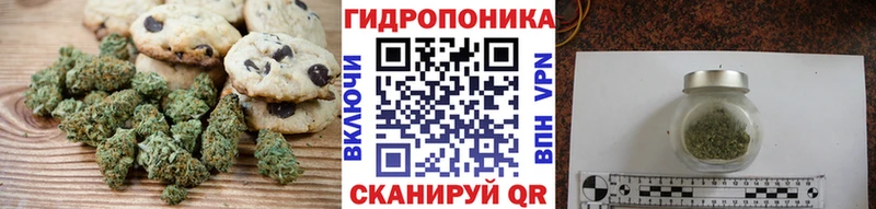 Cannafood конопля  Ковылкино 
