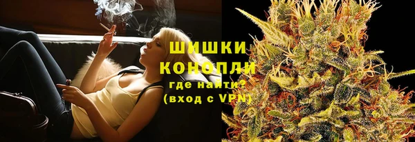 ПСИЛОЦИБИНОВЫЕ ГРИБЫ Алзамай